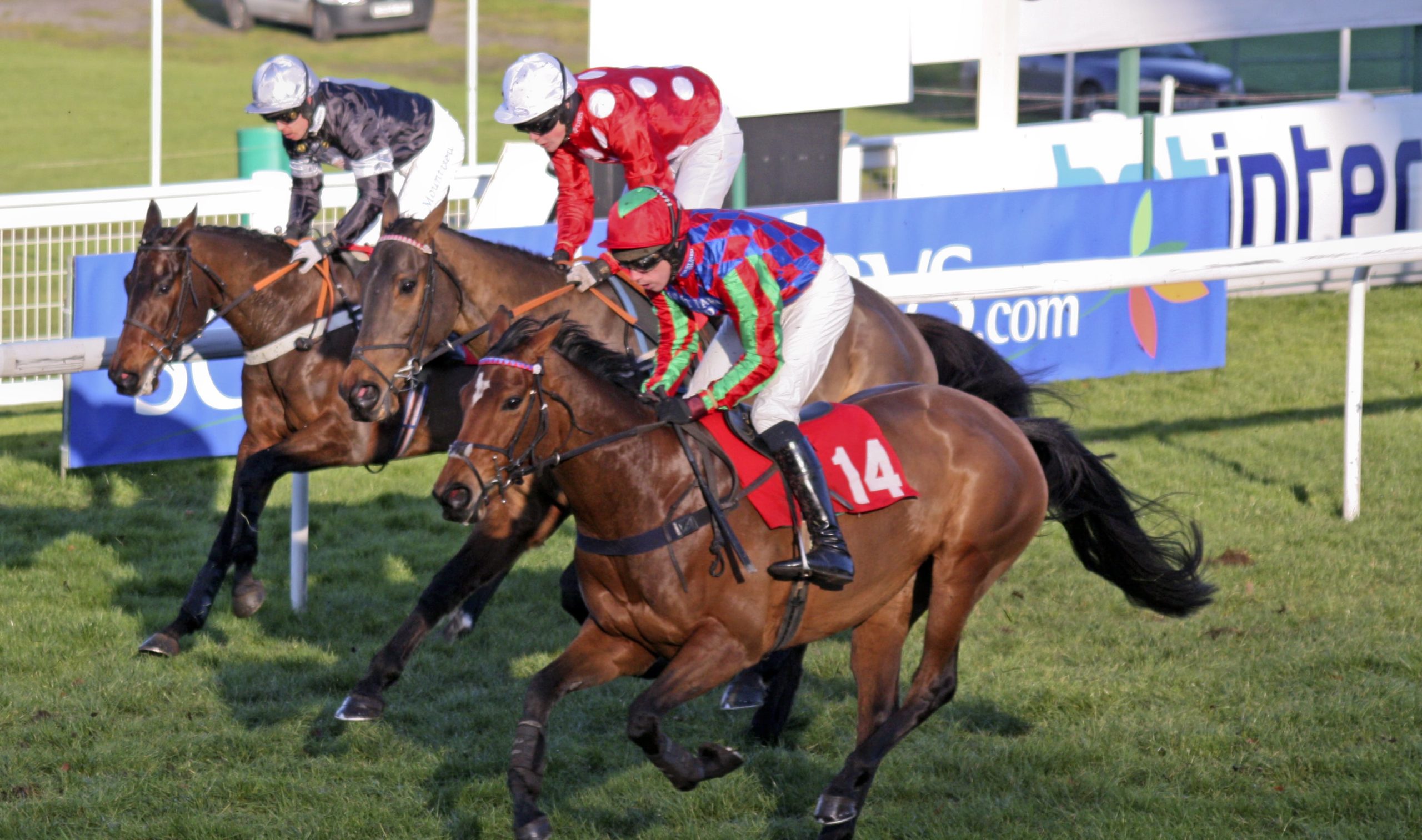 Tingle Creek Chase at Sandown 2023