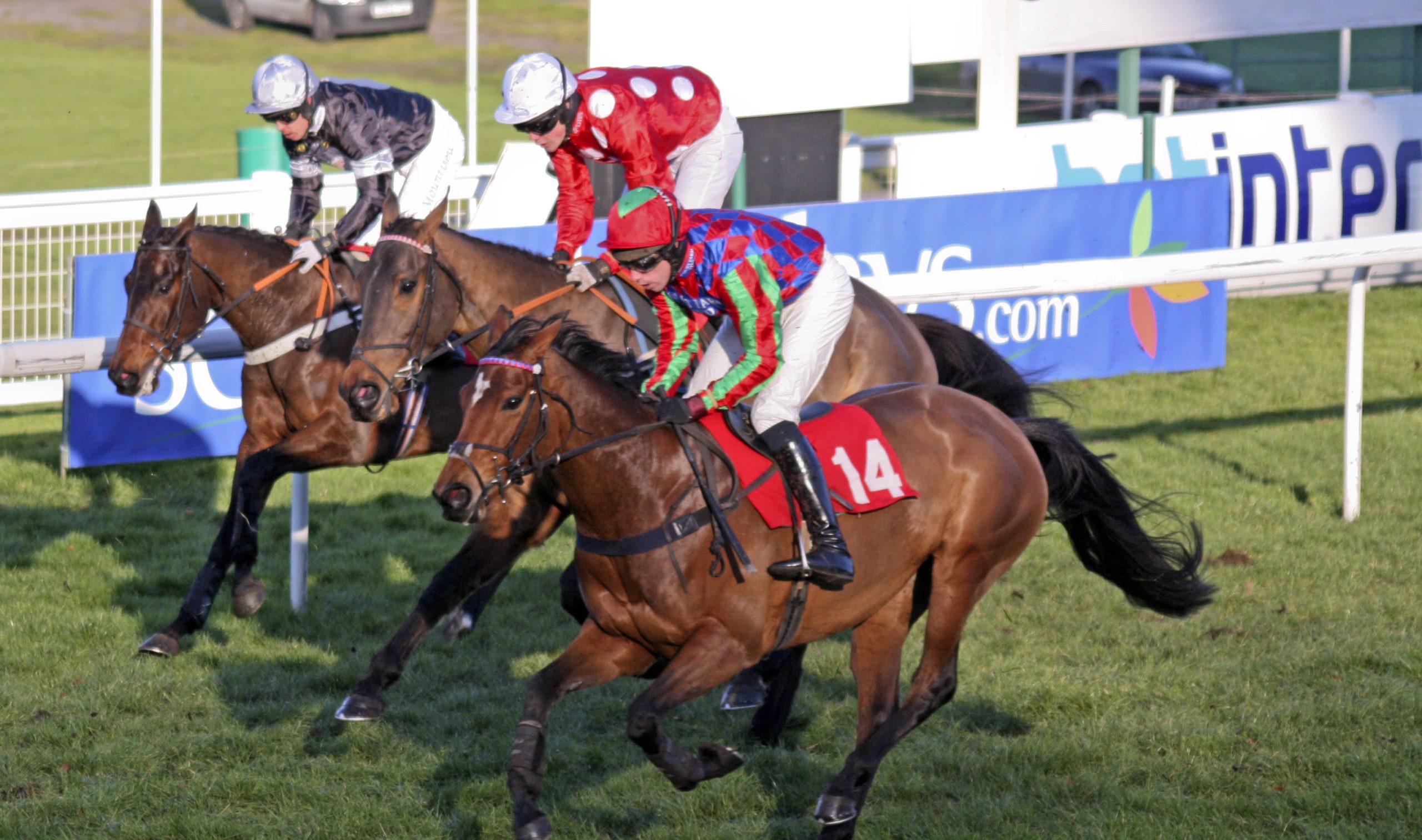 Tingle Creek Chase at Sandown 2024