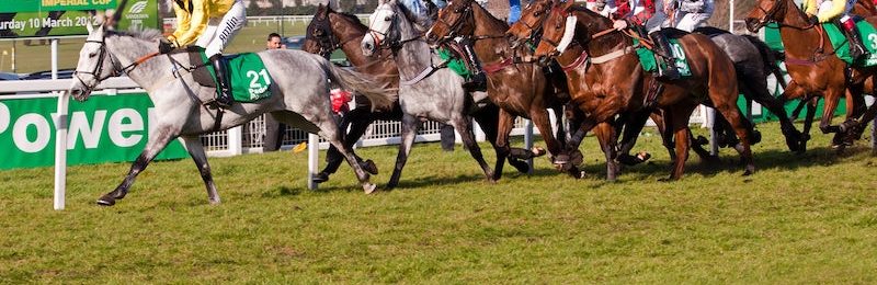 Tolworth Novices’ Hurdle at Sandown 2025