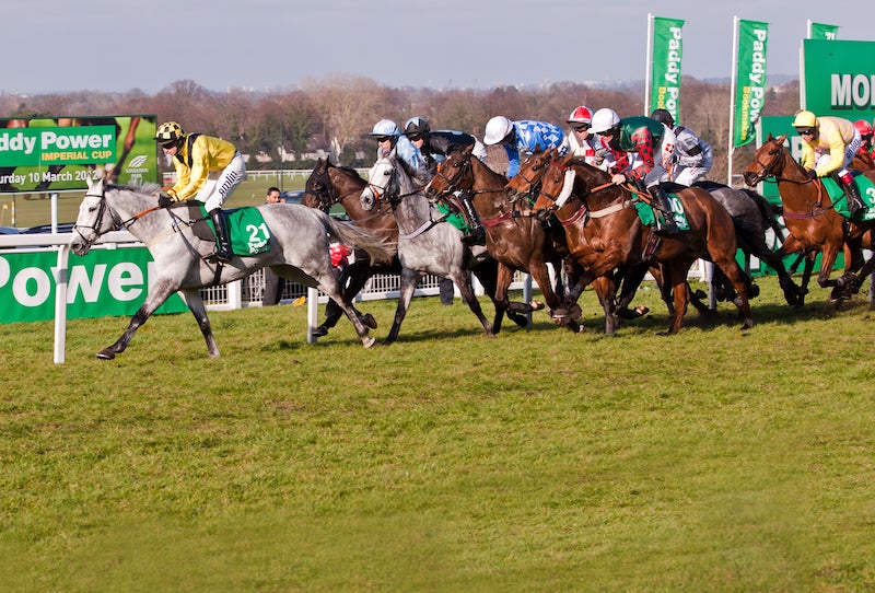 Tolworth Novices’ Hurdle at Sandown 2025