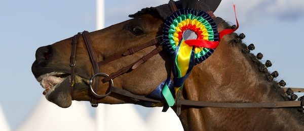 Two-Year-Old Trophy at Redcar 2024