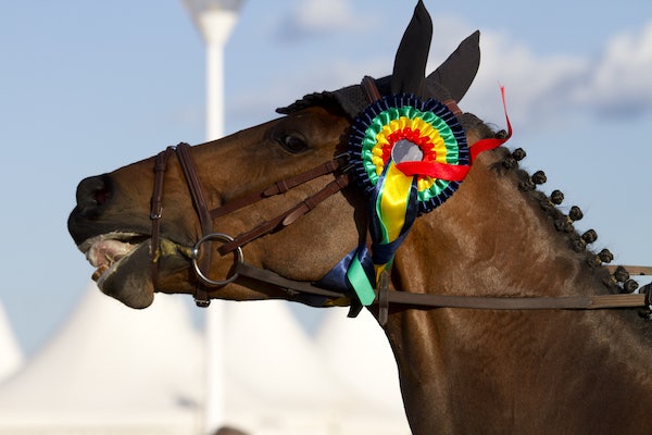 Two-Year-Old Trophy at Redcar 2024