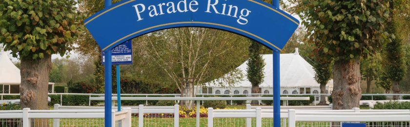 Windsor Winter Hill Stakes 2024
