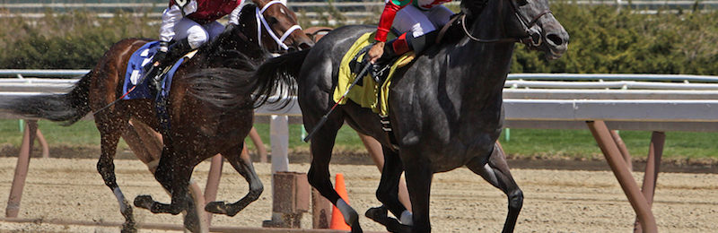 Cigar Mile at Aqueduct 2024