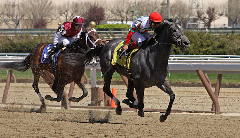 Cigar Mile at Aqueduct 2024