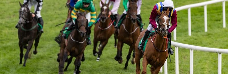 Clark Handicap at Churchill Downs 2024