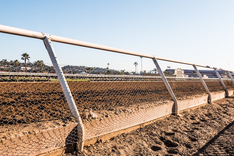 Bet On The Del Mar Futurity 2024 Best Odds