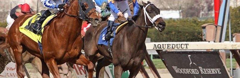 Demoiselle Stakes at Aqueduct 2024