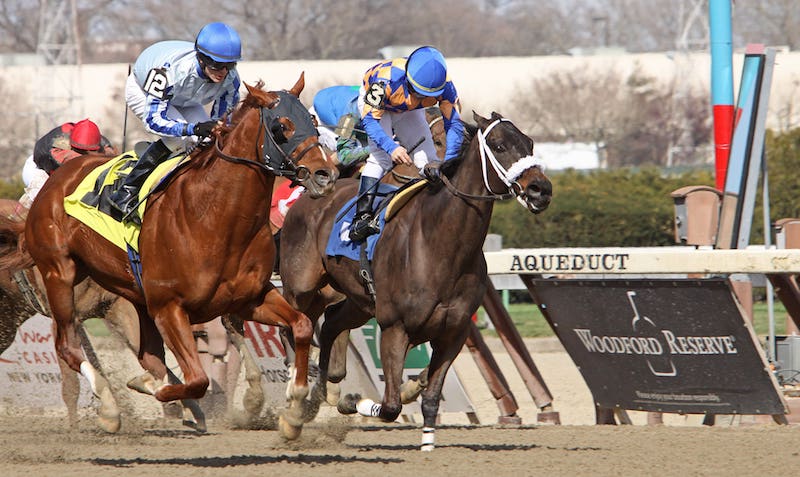 Demoiselle Stakes at Aqueduct 2024