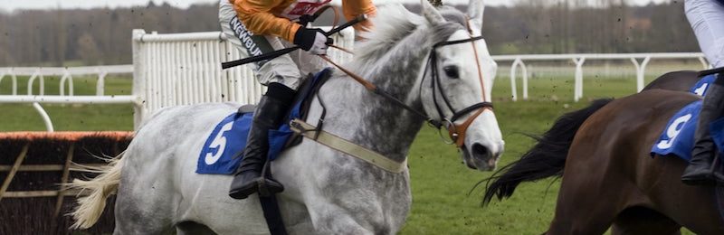 Denman Chase at Newbury 2025