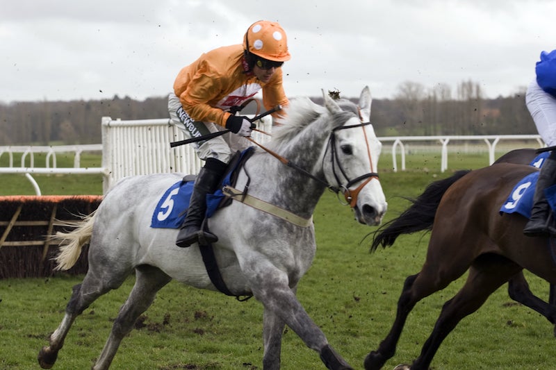 Denman Chase at Newbury 2024