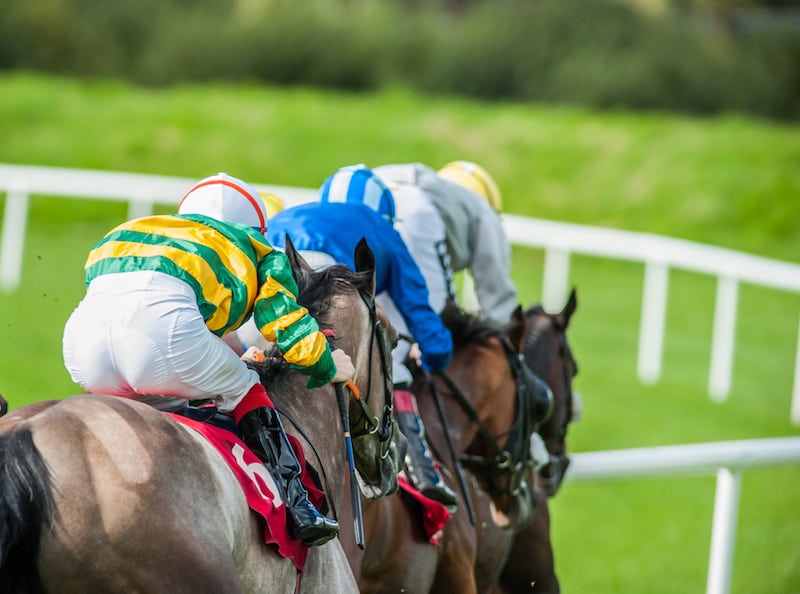 Food and Drink Raceday at Ffos Las 2024