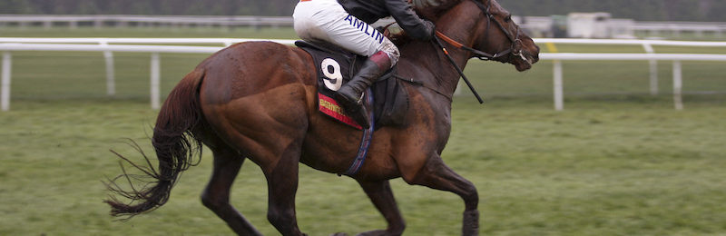 Game Spirit Chase at Newbury 2025