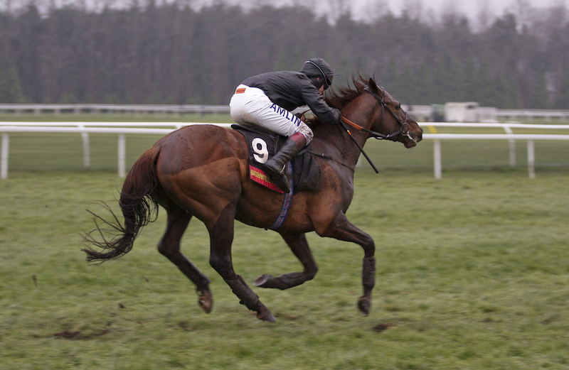 Game Spirit Chase at Newbury 2024