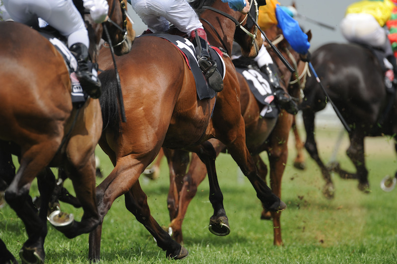 Gentlemen’s Raceday at Ffos 2024