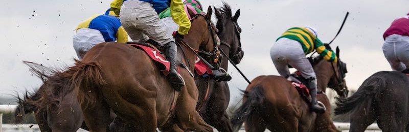 Glorious Stakes at Goodwood 2024