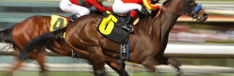 Goodwood Cup at Goodwood 2025