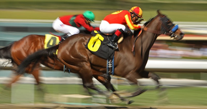 Goodwood Cup at Goodwood 2024