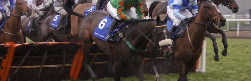Hackwood Stakes at Newbury 2024