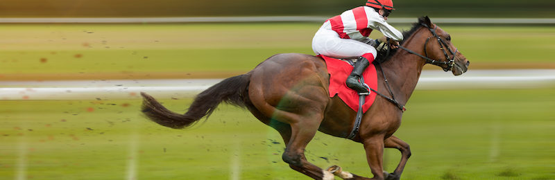 Humana Distaff Handicap at Churchill Downs 2024