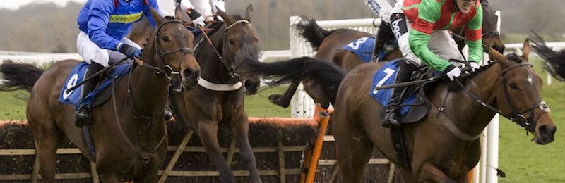 Hungerford Stakes at Newbury 2024