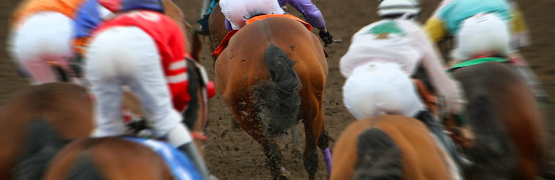 Just A Game Stakes Belmont Park 2024