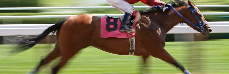 King George Stakes at Goodwood 2024