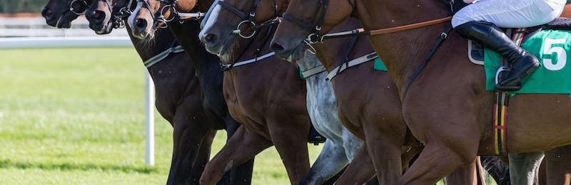 Leicestershire Silver Fox Handicap Chase 2024