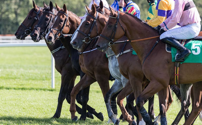 Leicestershire Silver Fox Handicap Chase 2023