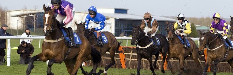 Long Distance Hurdle at Newbury 2024