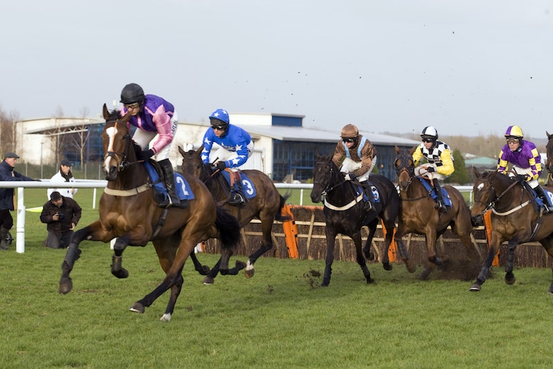 Long Distance Hurdle at Newbury 2024