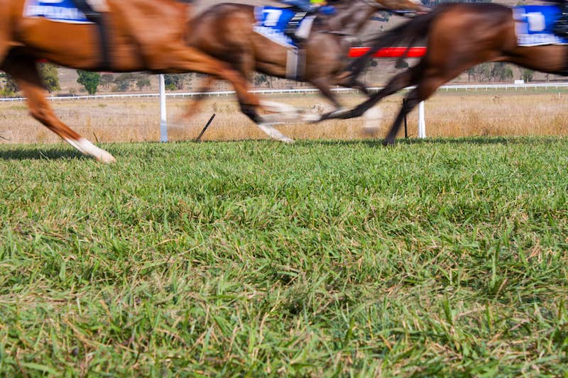 Maggie Dickson Stakes at Musselburgh 2024