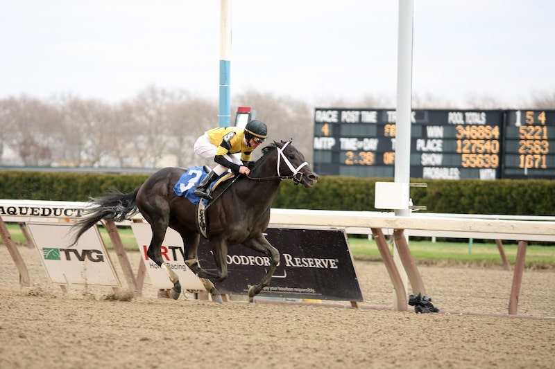 Metropolitan Handicap at Belmont Park 2024