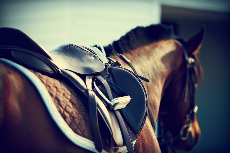 Mile High Futurity Stakes at Arapahoe Park 2023
