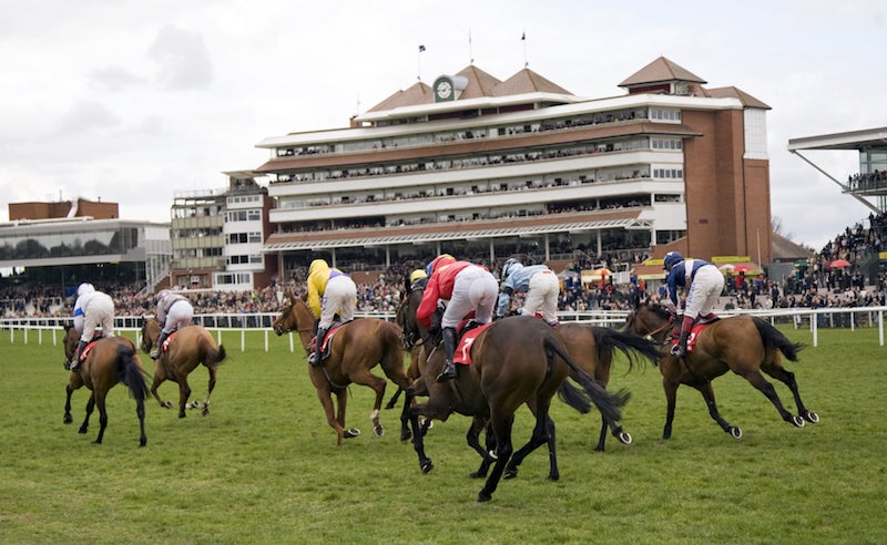 Mill Reef Stakes at Newbury 2024