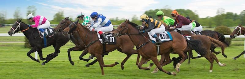 National Spirit Hurdle at Fontwell Park 2025