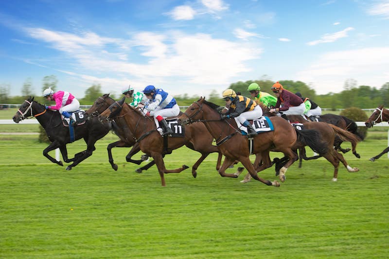 National Spirit Hurdle at Fontwell Park 2024