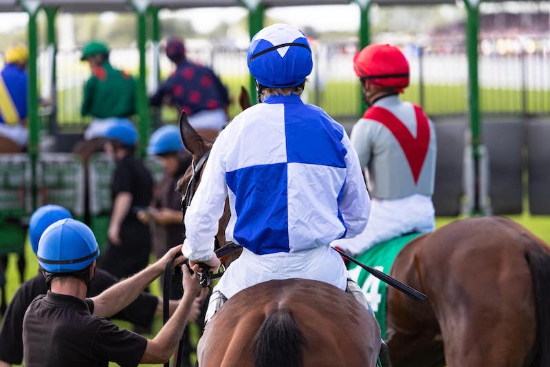 Picnic Raceday at Ffos Racecourse 2024