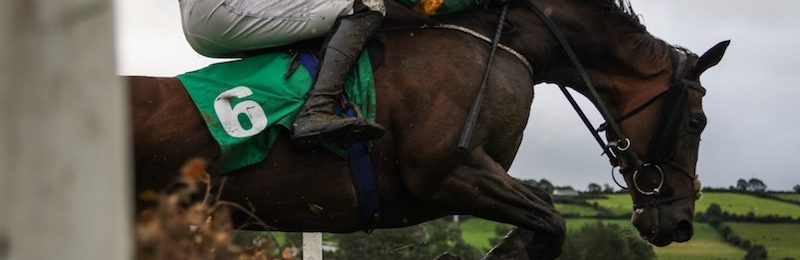  Remsen Stakes at Aqueduct 2024