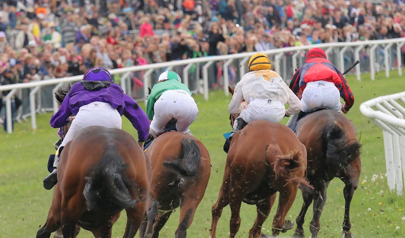 Spring National Hunt Meeting at Fakenham 2024