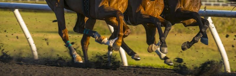 Stephen Foster Handicap at Churchill Downs 2024