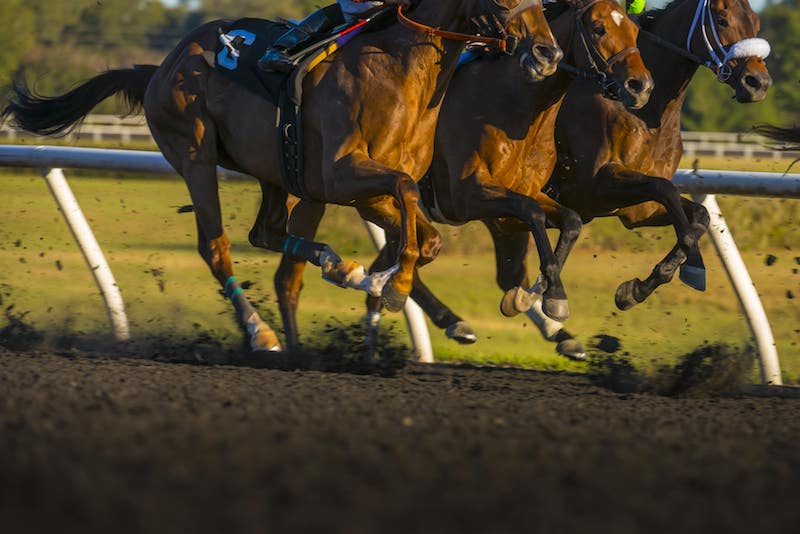 Stephen Foster Handicap at Churchill Downs 2024