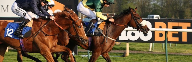 Stewards’ Cup at Goodwood 2024