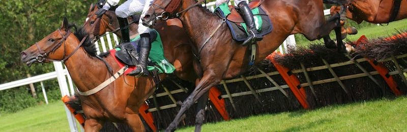 Summer Cup at Uttoxeter 2024