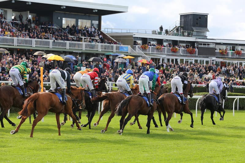 Summer Plate at Market Rasen 2024