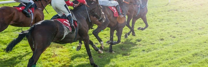 Sussex Stakes at Goodwood 2024