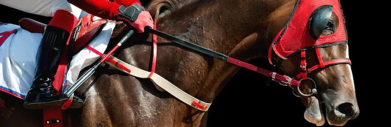 Thoroughbred Stakes at Goodwood 2024