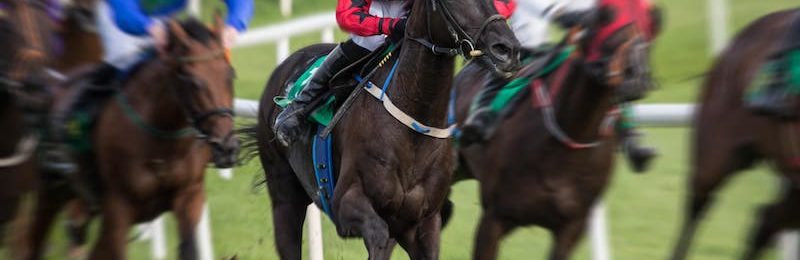 Vintage Stakes at Goodwood 2024