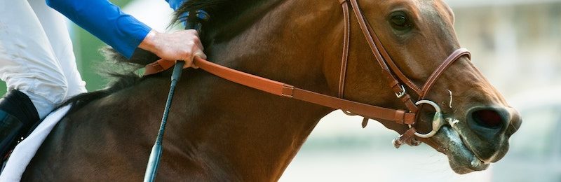 Welsh Champion Hurdle at Ffos Racecourse 2024