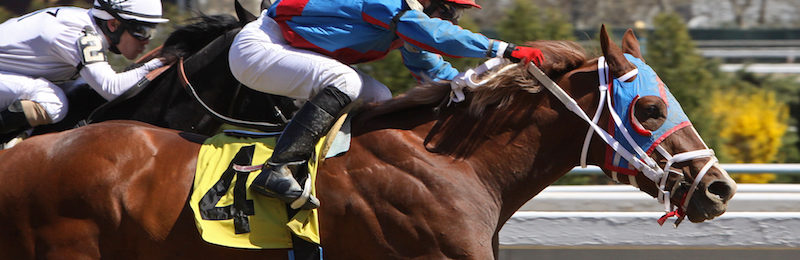 Wood Memorial Stakes at Aqueduct 2023